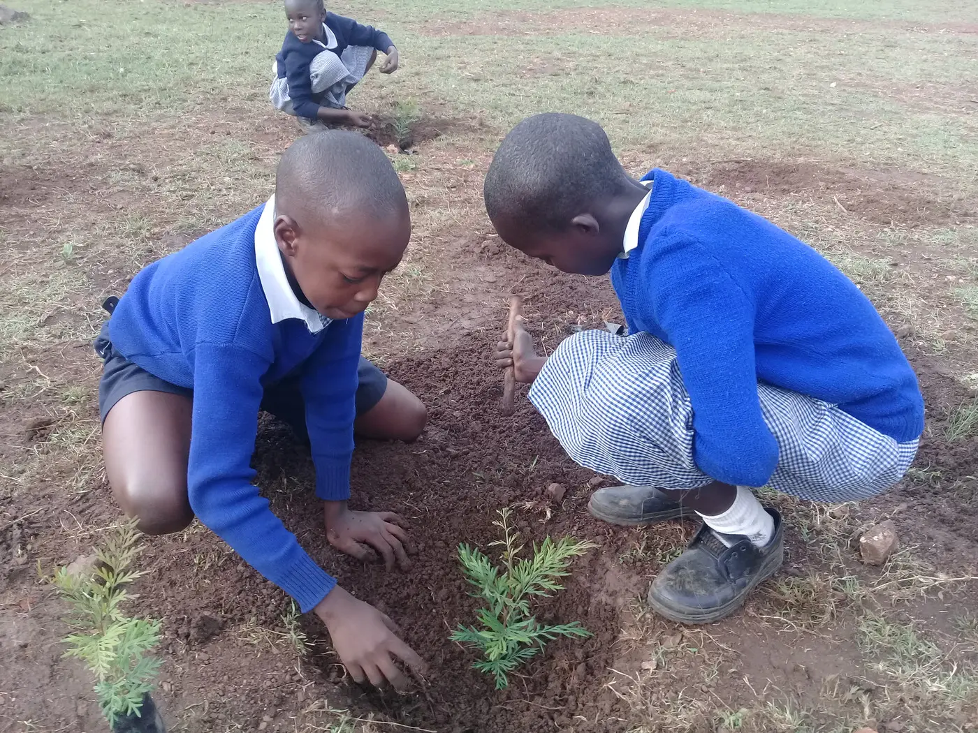 Service Spotlight – One Vision Kenya