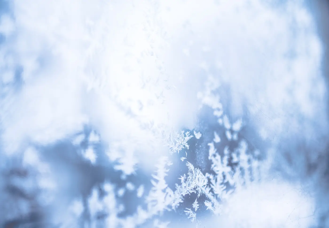 Winter Hands