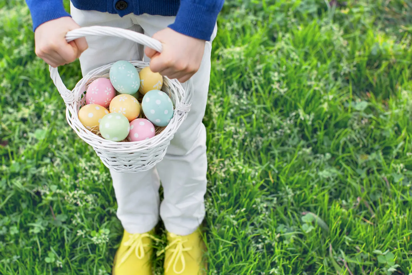 Don't Put All Your Eggs in One Basket
