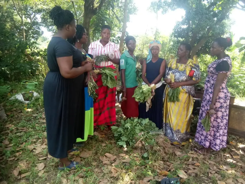 Service Spotlight: Kiyita Foundation