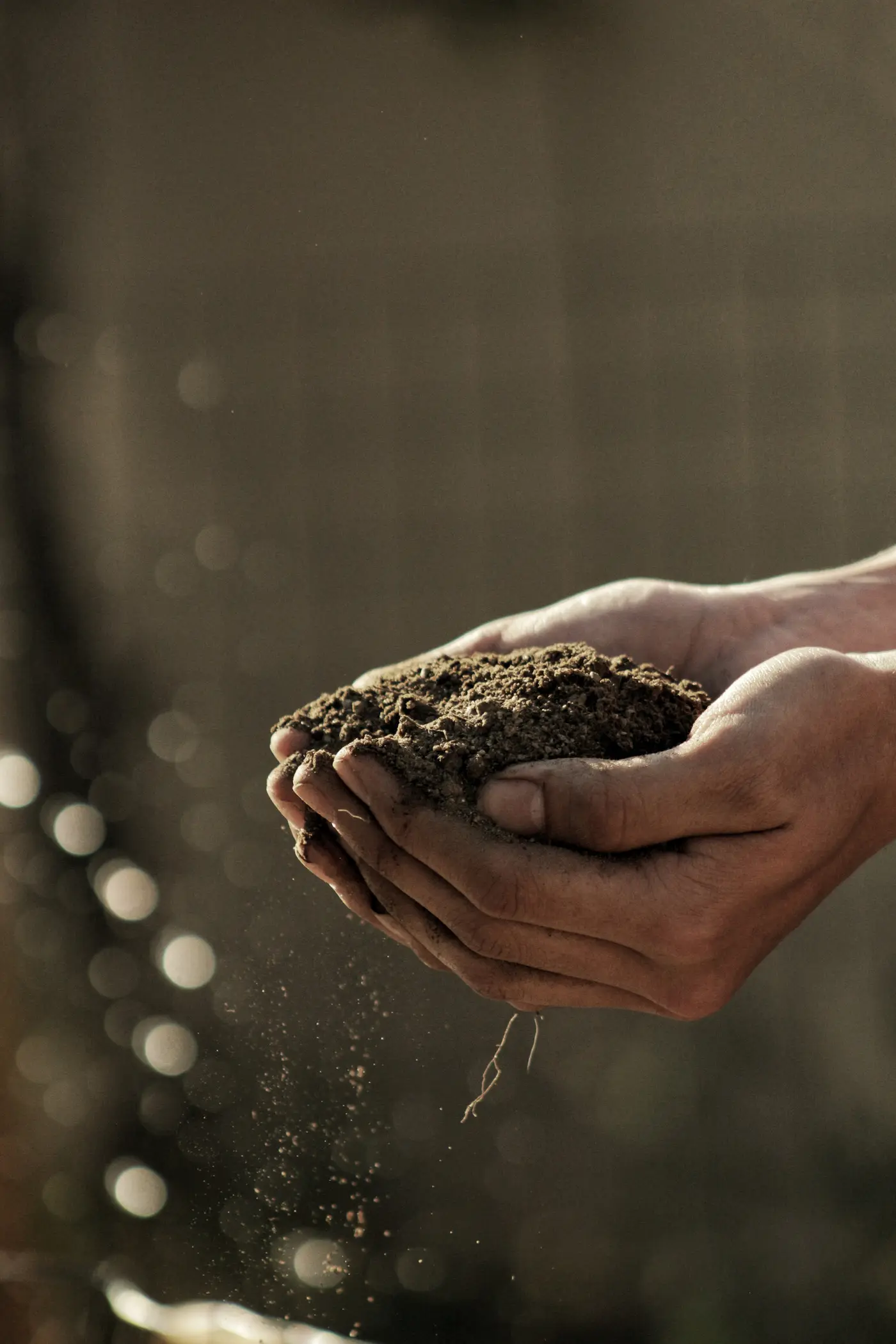 Clean & Pristine: A Case For Getting Dirty