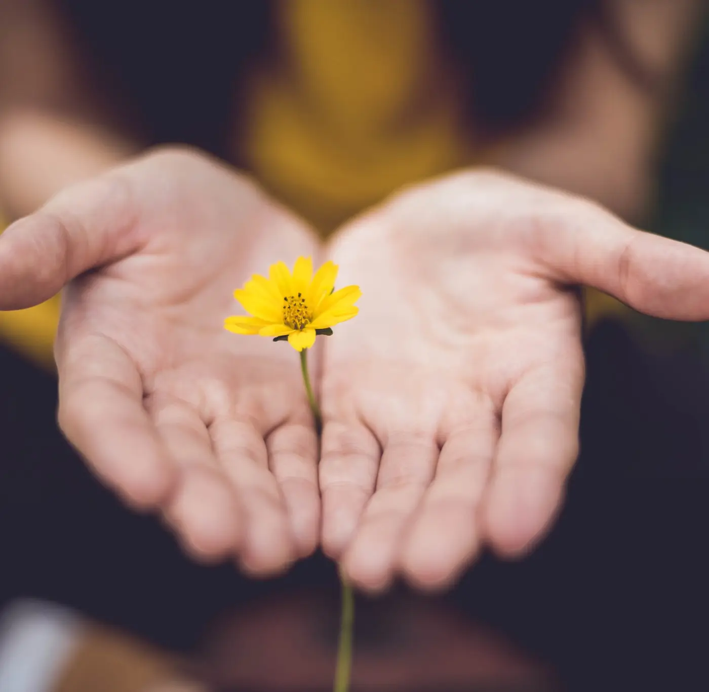 Empty Hands