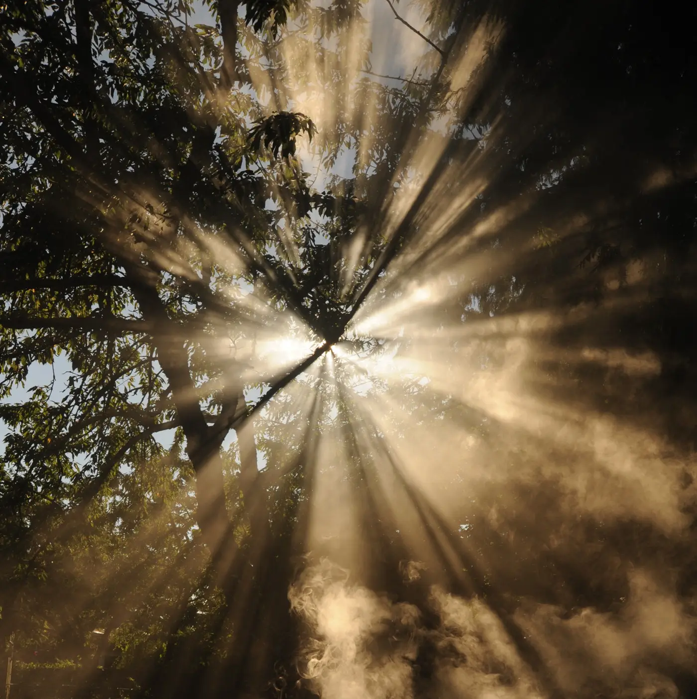 Fearing Our Light