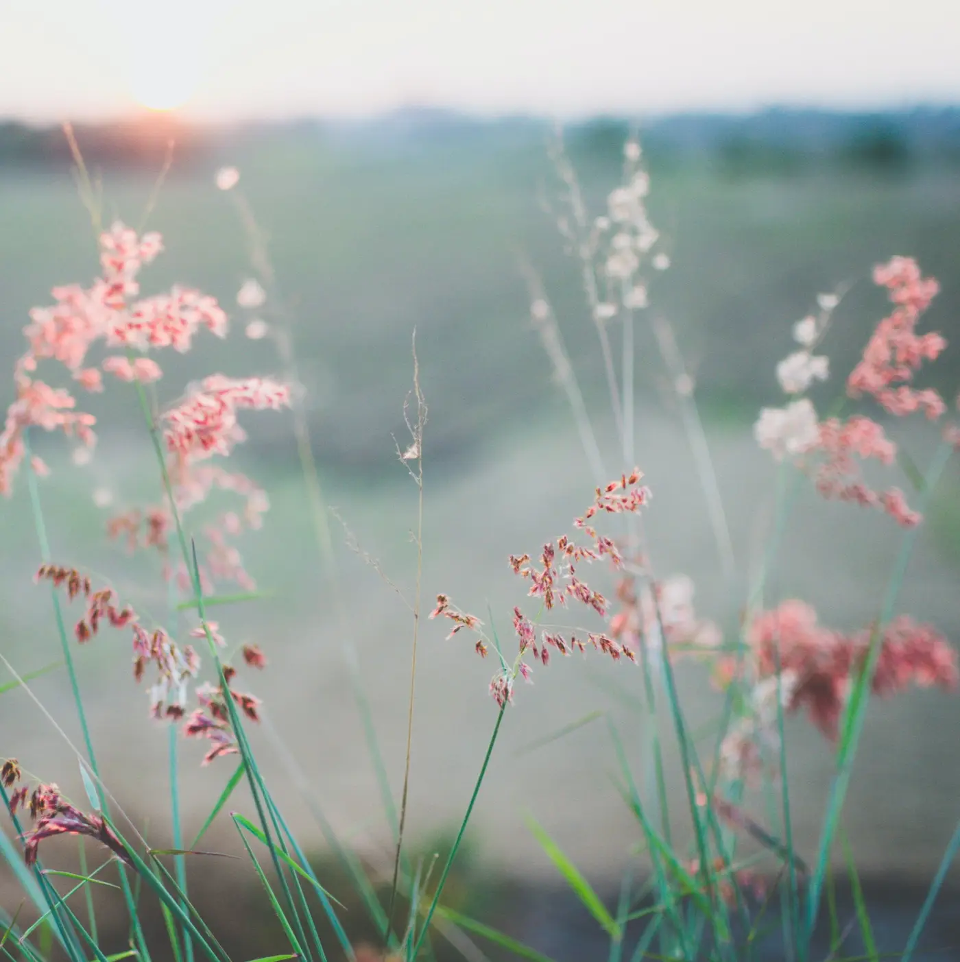 Leaning Toward Calm