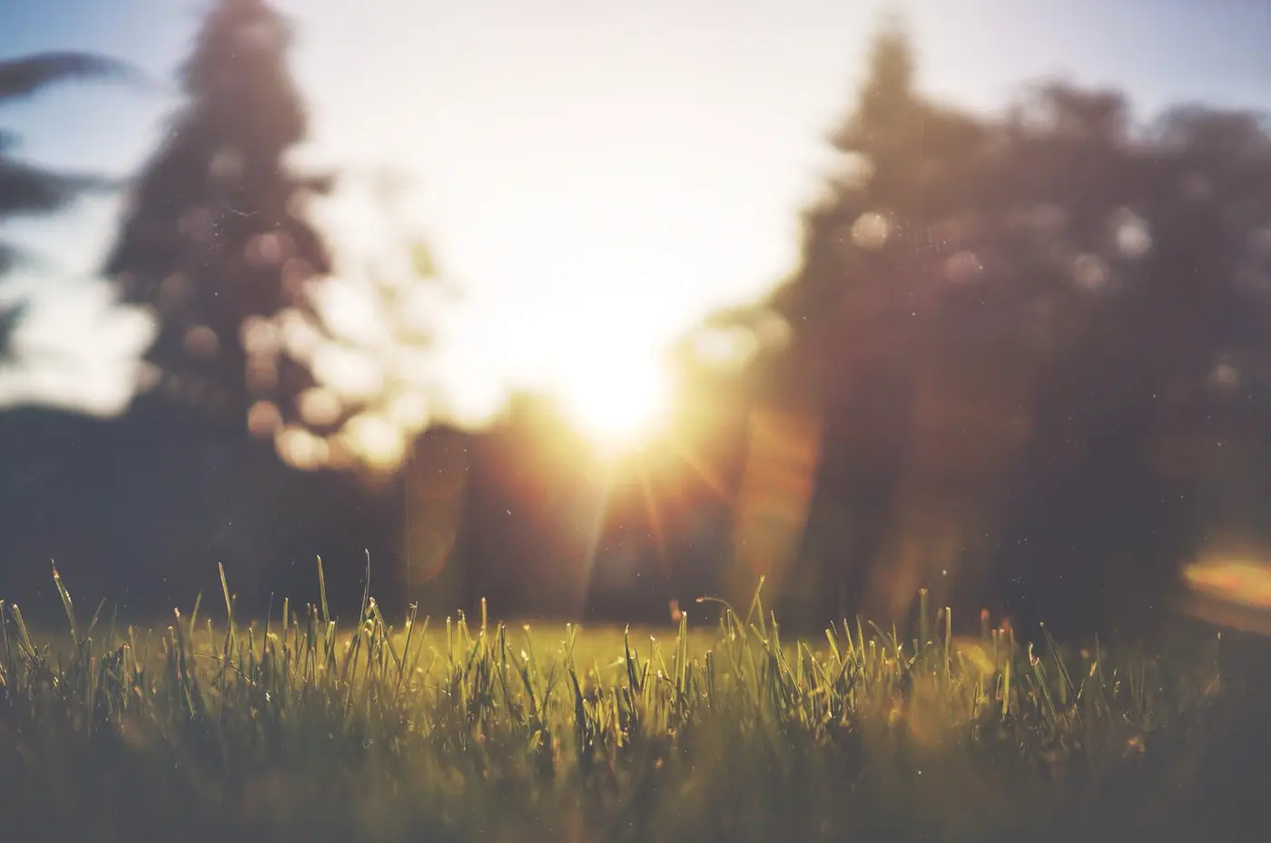 Live into Summer