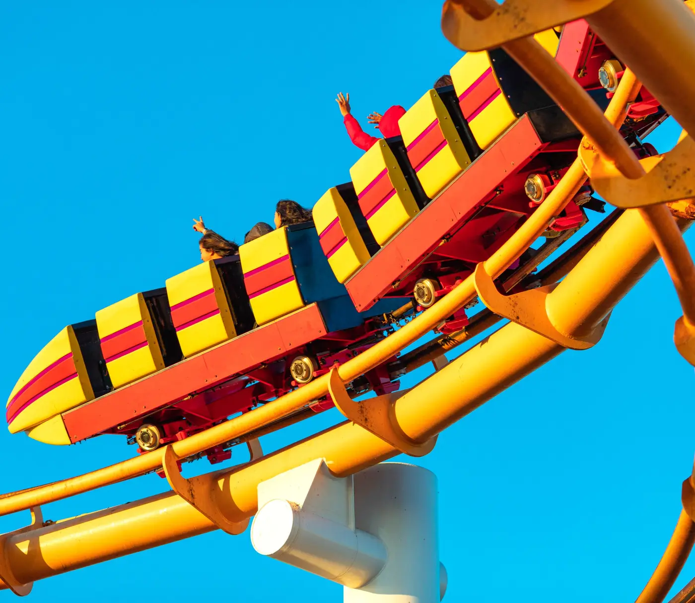 More Than Building Roller Coasters