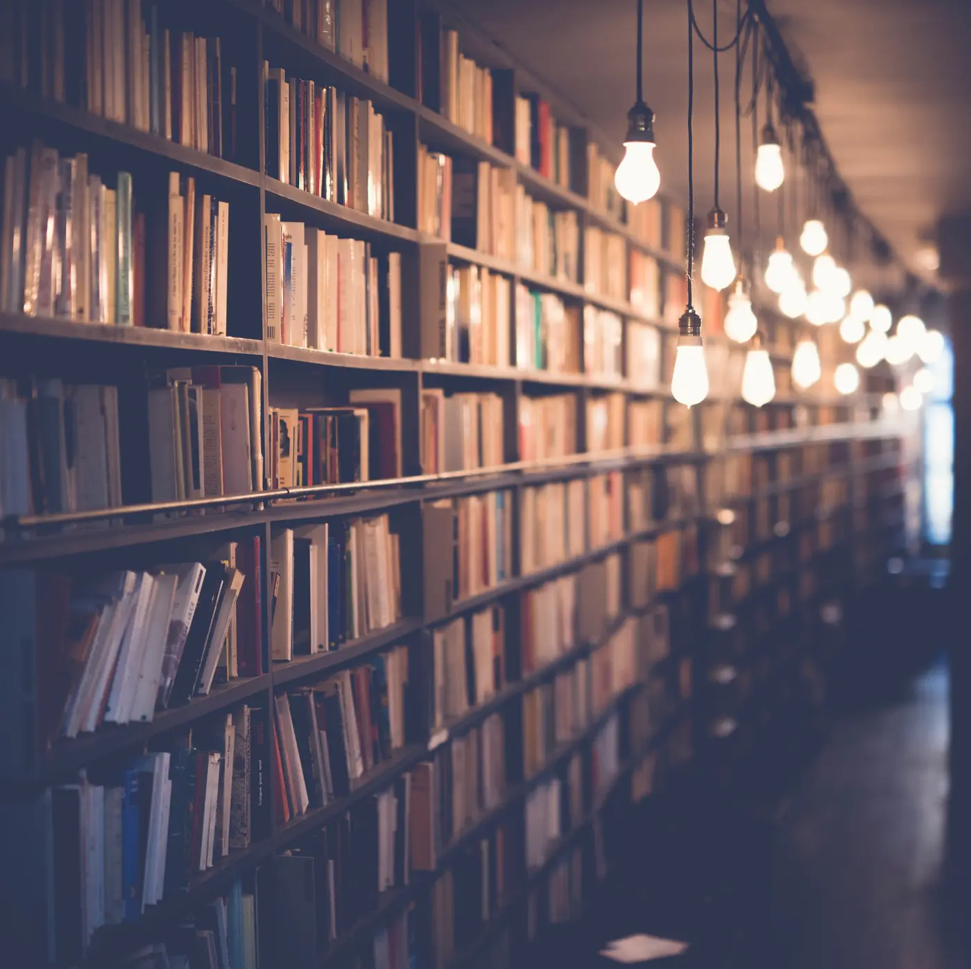 No Stupid Questions: The Desire to Learn