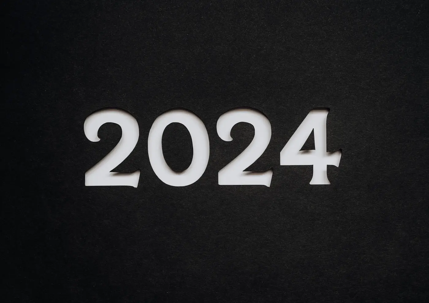 Our Year in Review: The Smile Project in 2024