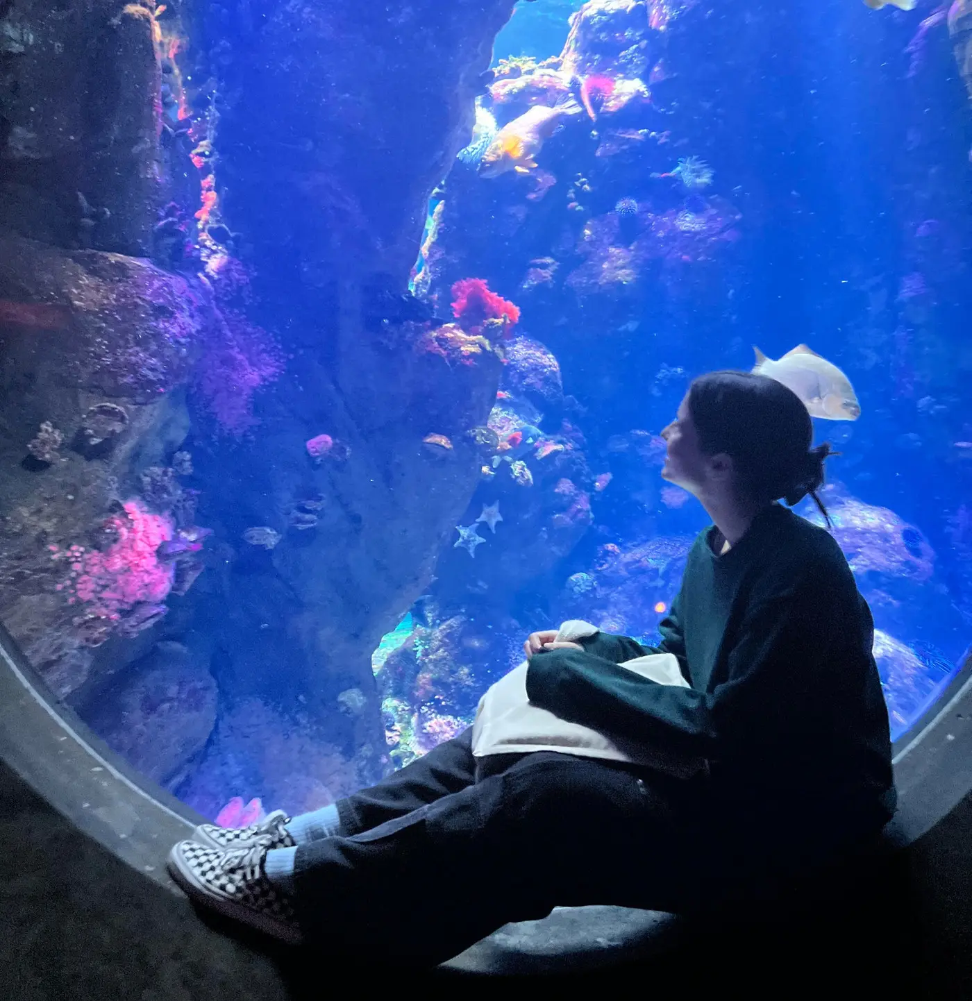 Service Spotlight: Light Up Project
