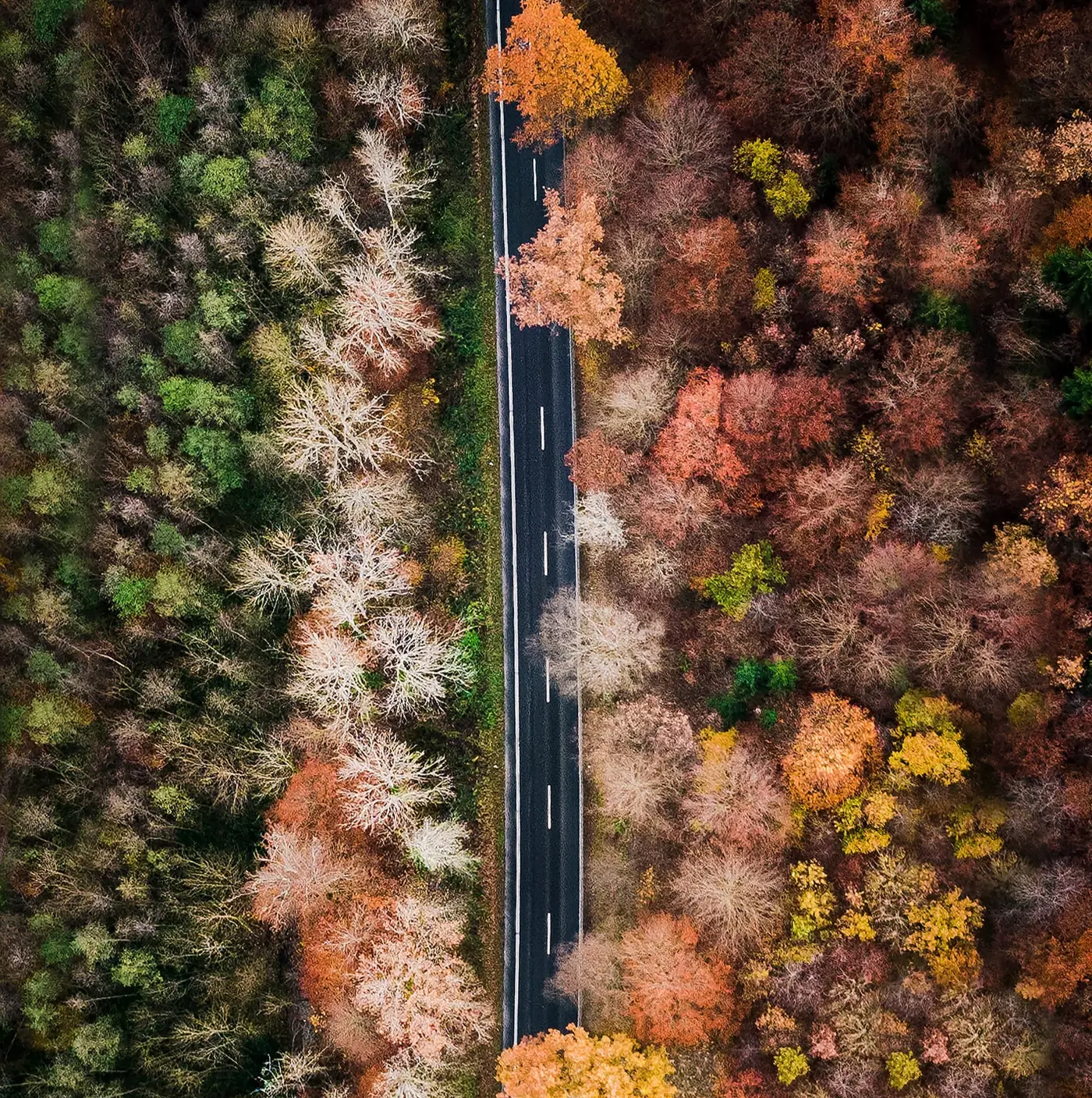 Weather Perspective