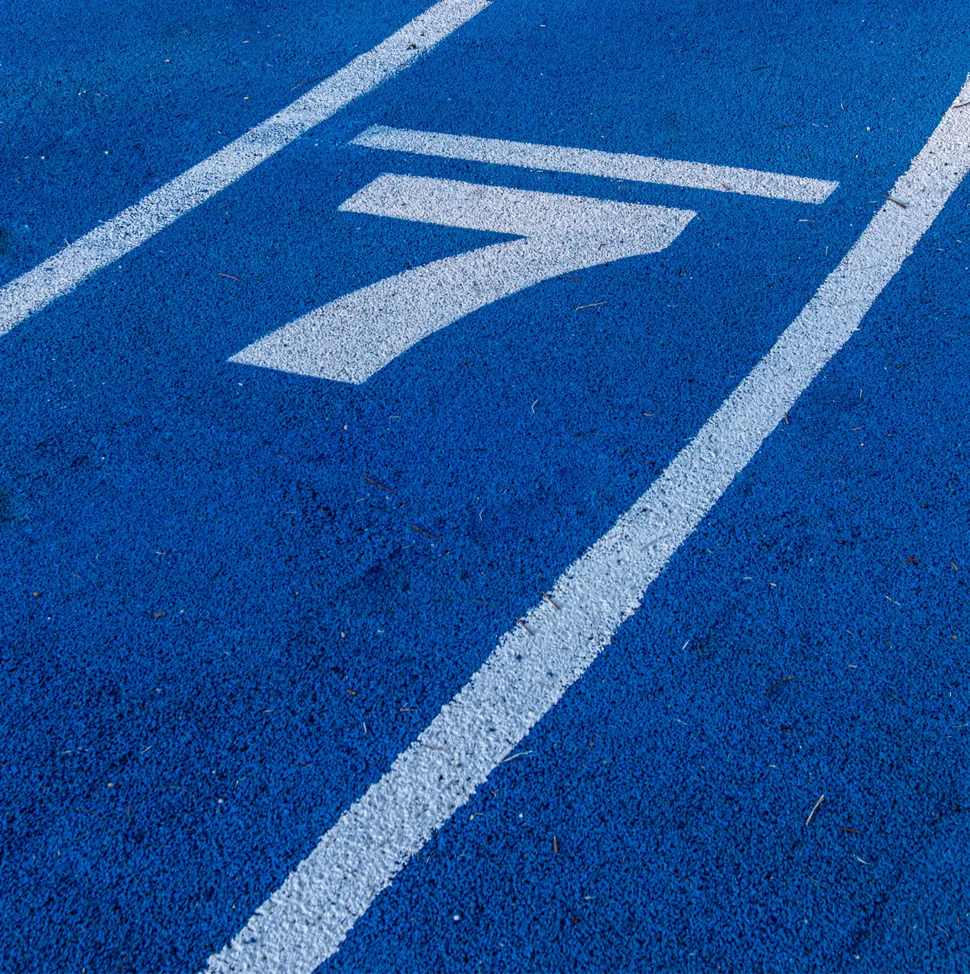 Why Run a Marathon?